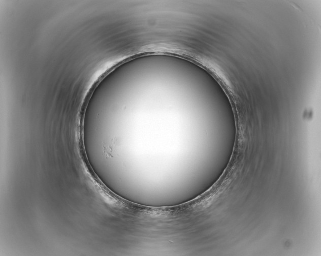 X0000094071040200711021505
