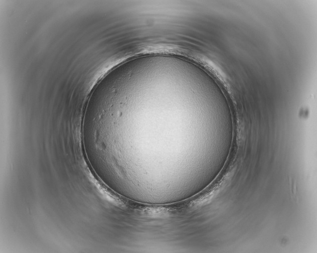 X0000094071041200711021505