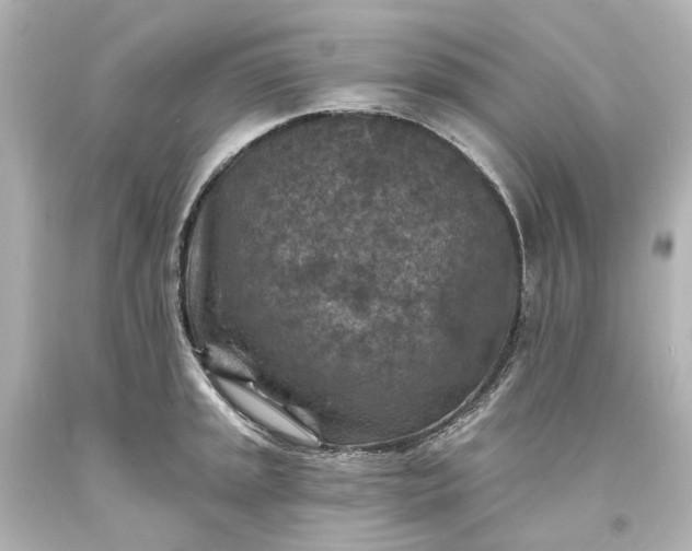 X0000094071045200711021505