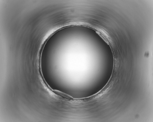 X0000094071046200711021505