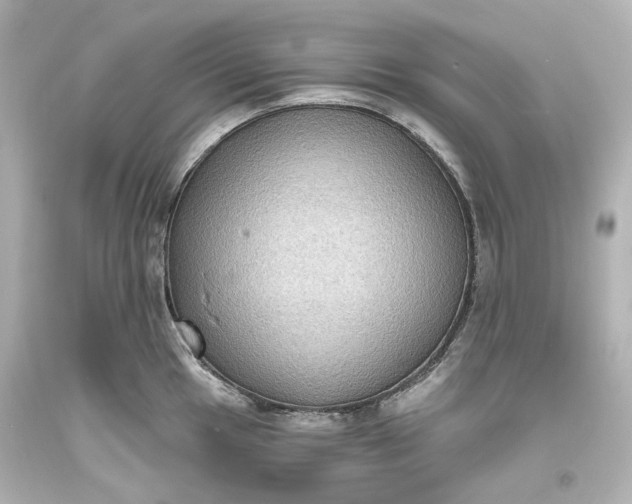 X0000094071049200711021505