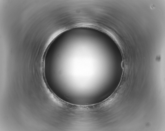 X0000094071050200711021505