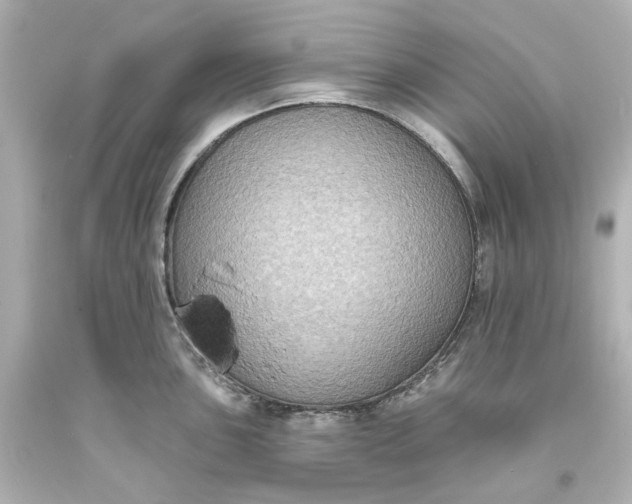 X0000094071051200711021505