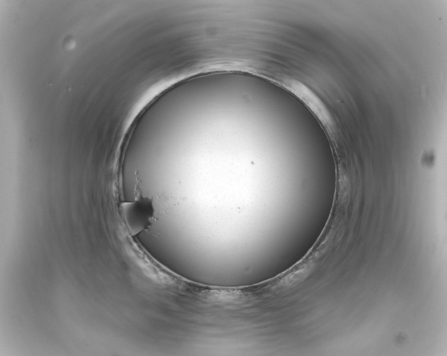 X0000094071052200711021505