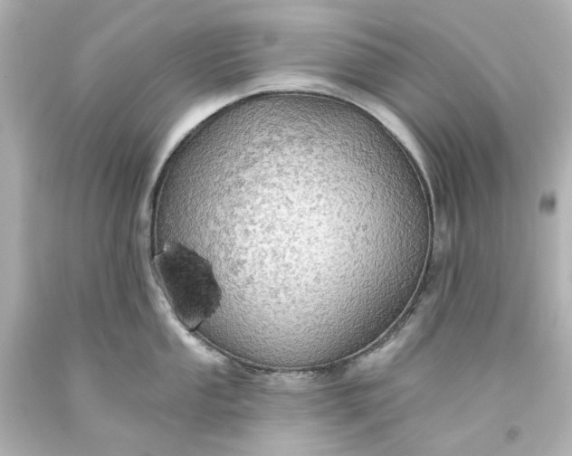 X0000094071053200711021505