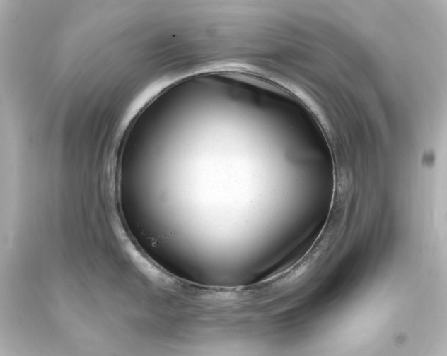 X0000094071054200711021505
