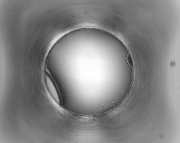 X0000094071056200711021505