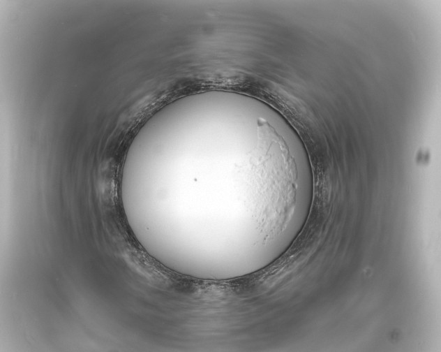 X0000094071058200711021504