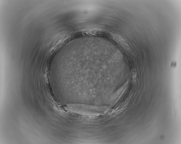X0000094071060200711021504