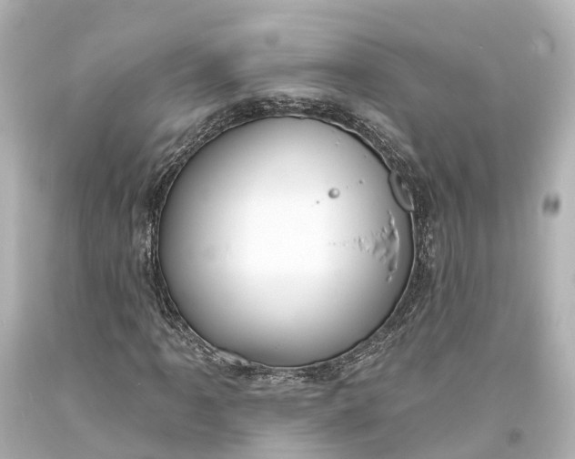 X0000094071061200711021504