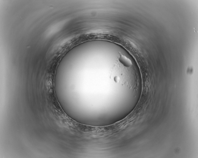 X0000094071062200711021504
