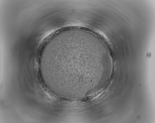 X0000094071064200711021504