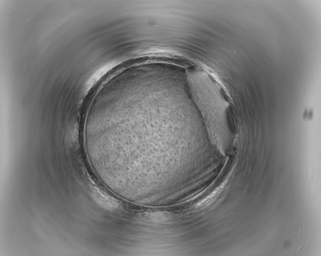 X0000094071066200711021504