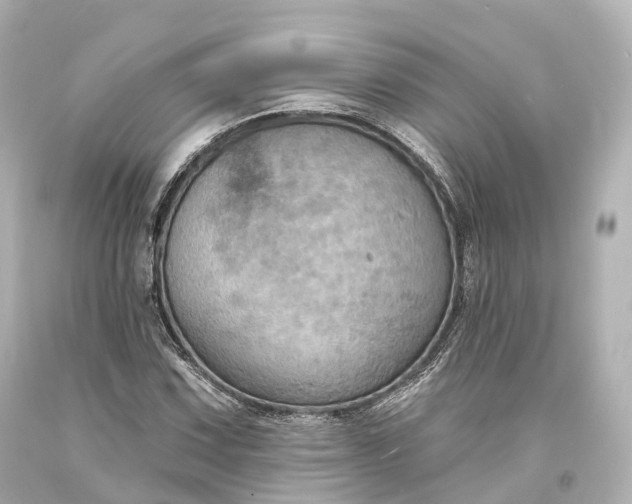 X0000094071067200711021504