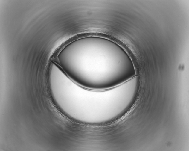 X0000094071069200711021504