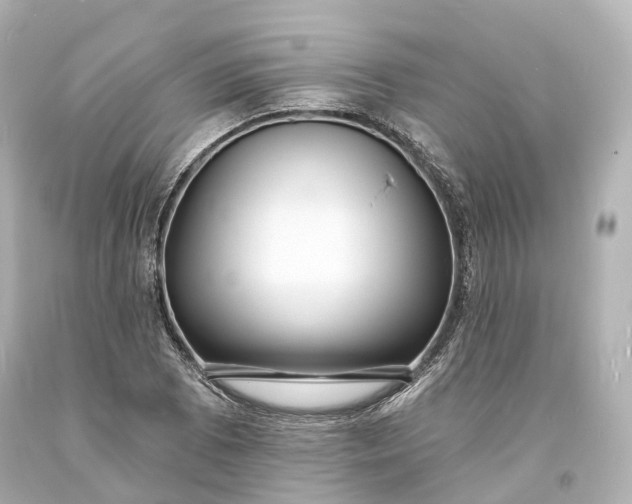 X0000094071073200711021504