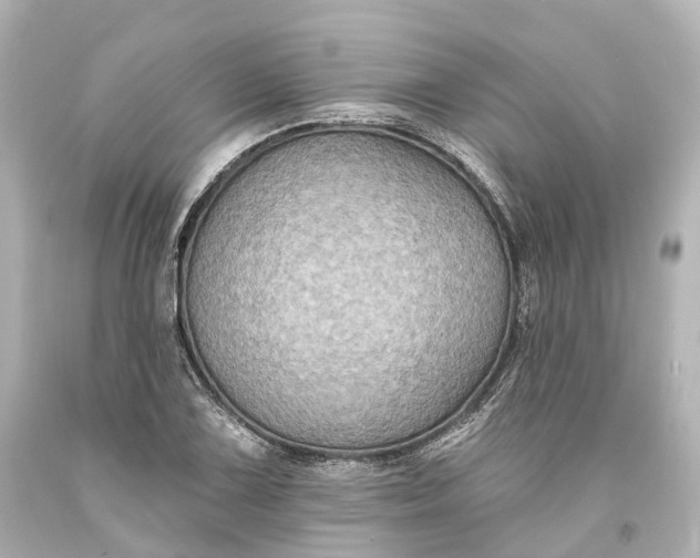 X0000094071075200711021504