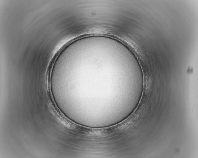 X0000094071078200711021504