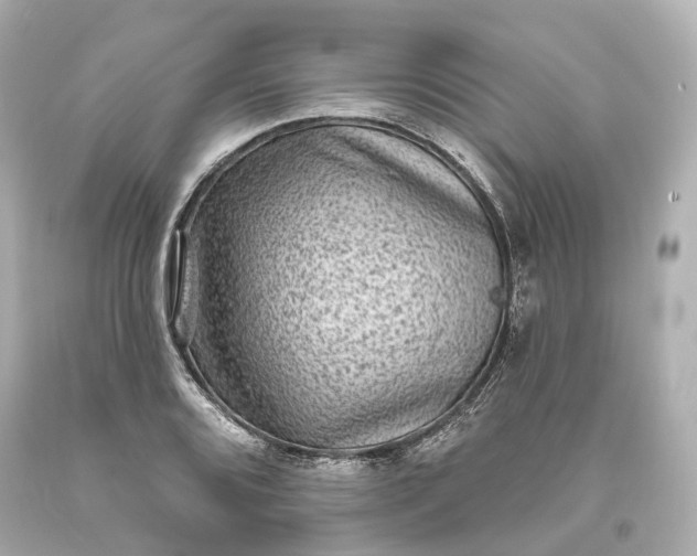X0000094071080200711021504