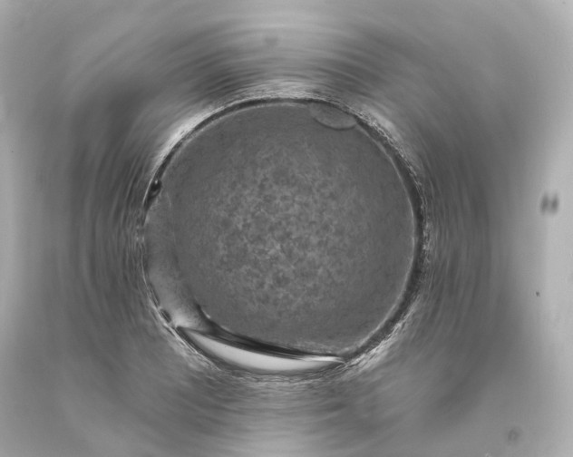 X0000094071081200711021504