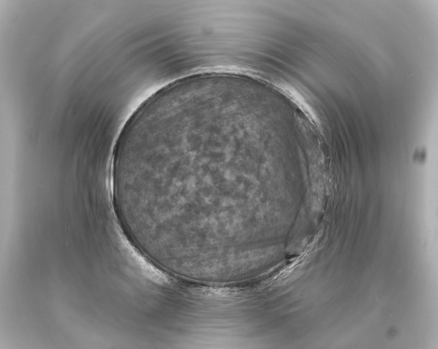 X0000094071084200711021504