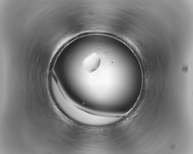 X0000094071085200711021504