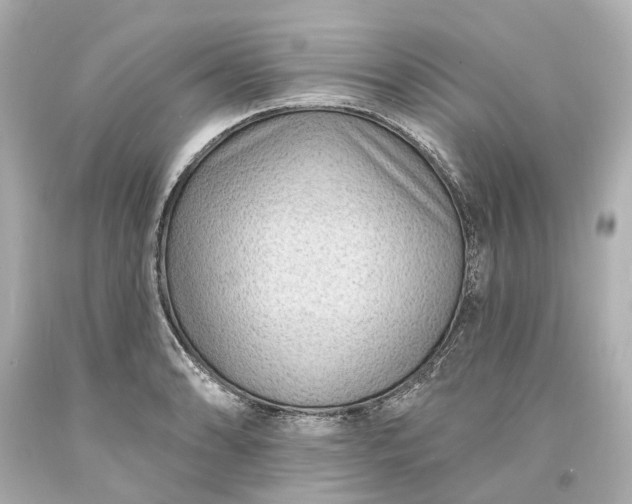 X0000094071086200711021504