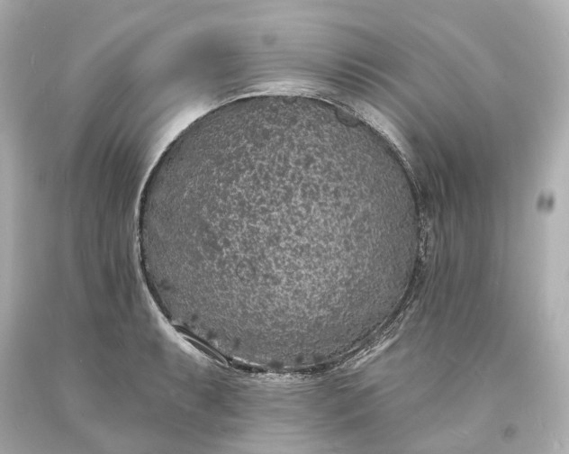 X0000094071087200711021504