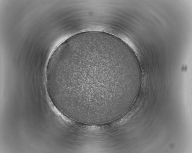 X0000094071088200711021504
