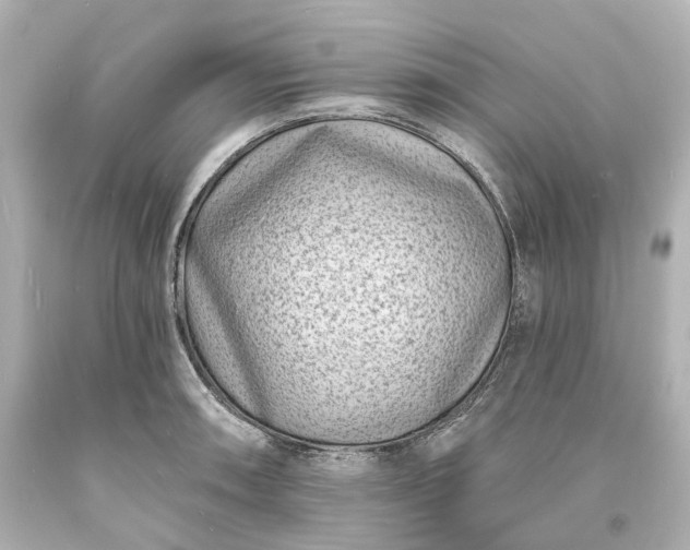 X0000094071090200711021504