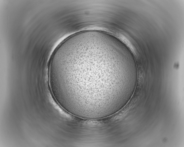 X0000094071092200711021504