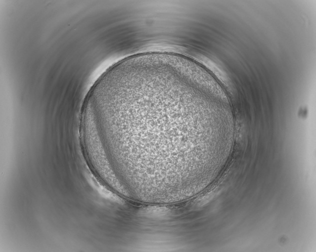 X0000094071094200711021504