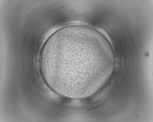 X0000094071098200711021504
