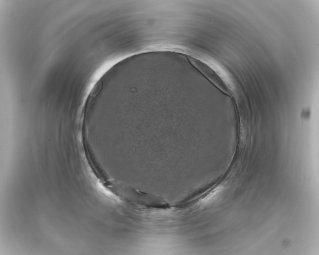 X0000094071102200711021504