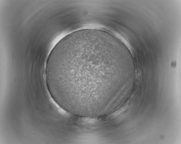 X0000094071103200711021504