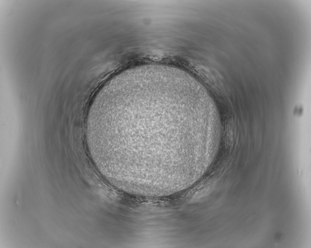 X0000094071105200711021503