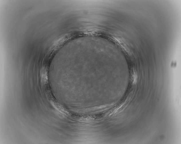 X0000094071106200711021503