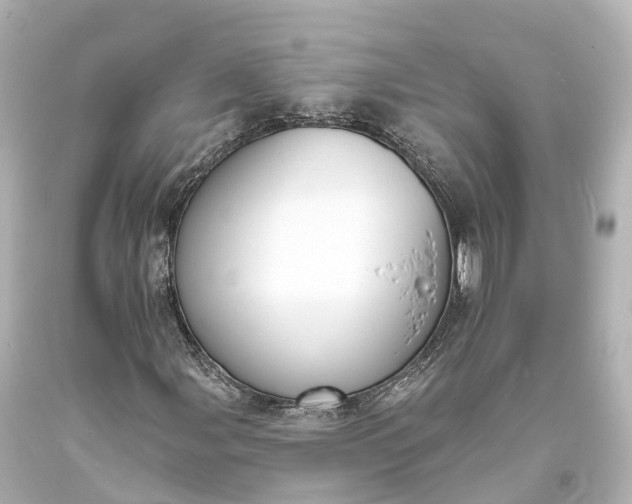 X0000094071107200711021503