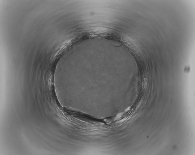X0000094071108200711021503