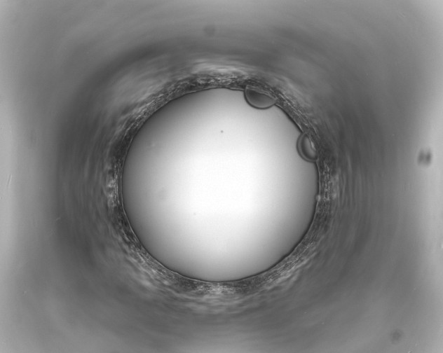 X0000094071109200711021503