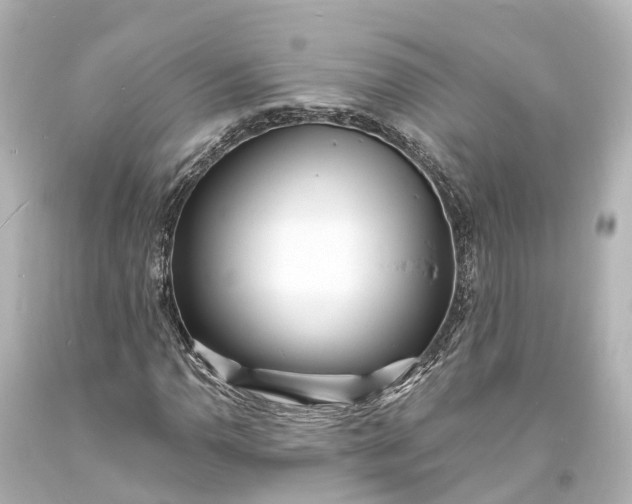X0000094071110200711021503