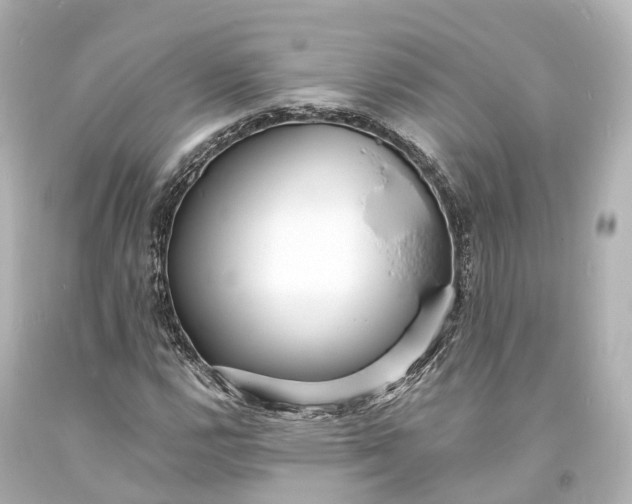 X0000094071112200711021503