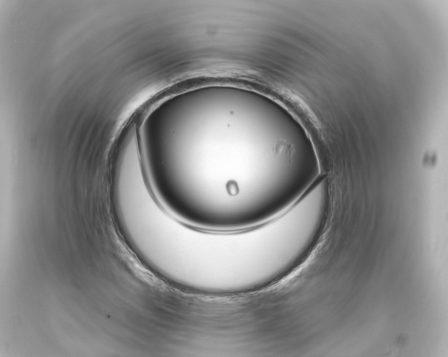 X0000094071114200711021503