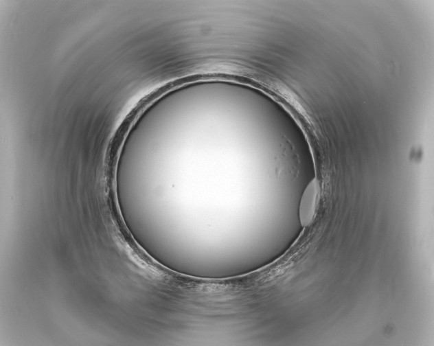 X0000094071116200711021503