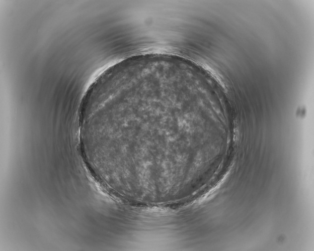 X0000094071117200711021503