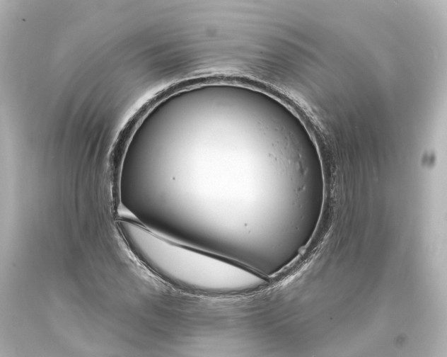 X0000094071118200711021503