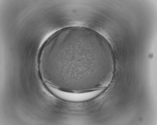 X0000094071120200711021503