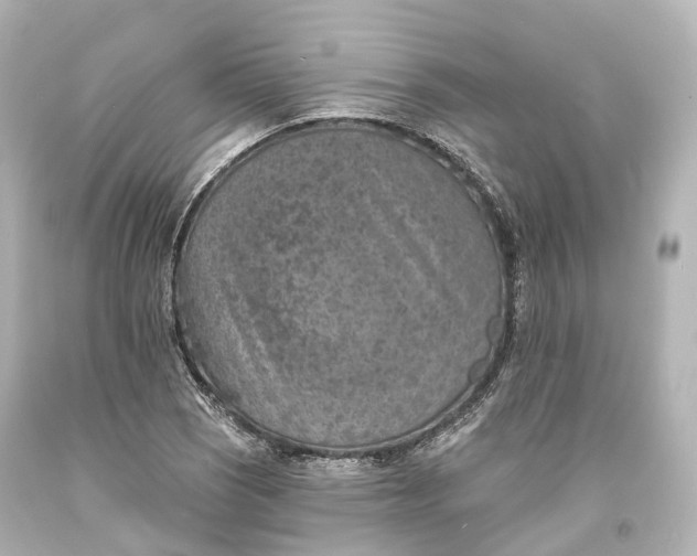 X0000094071121200711021503