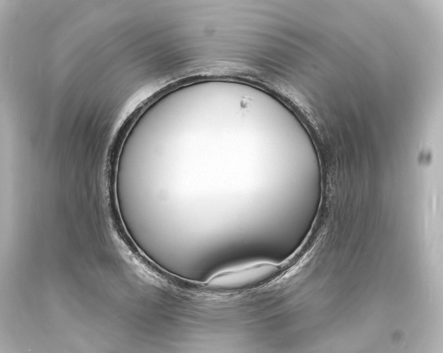 X0000094071122200711021503