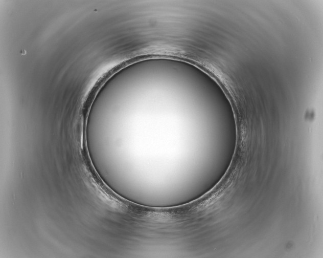 X0000094071123200711021503